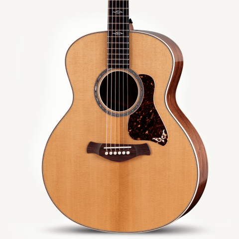 2024年の新アコースティックギター | Taylor Guitars 2024年の新アコースティックギター | Taylor Guitars